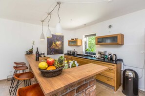 Fridge, microwave, oven, stovetop - Holiday house RASOPASNO (Rasopasno)