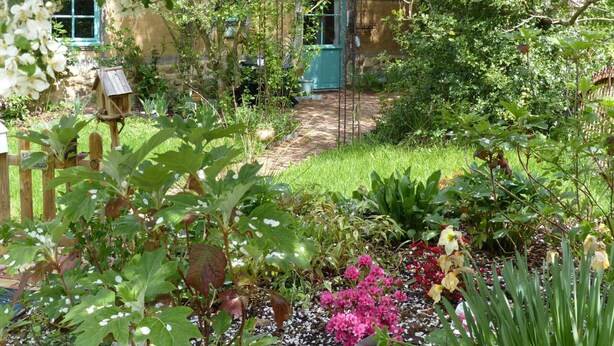 Un jardin avec un sentier menant à une maison dotée d’une porte et de fenêtres bleues.