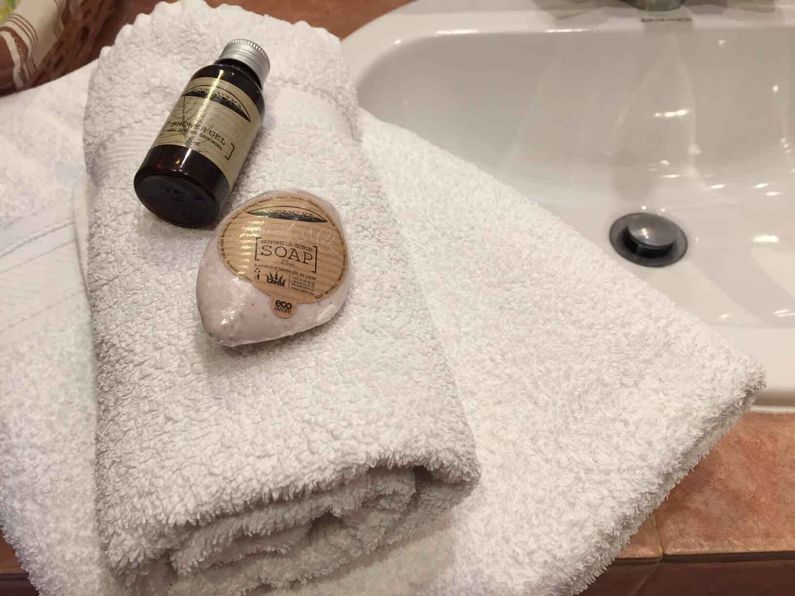 浴室 | 吹风机、肥皂、洗发水、卫生纸