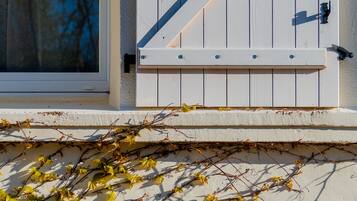 Detall de l'exterior