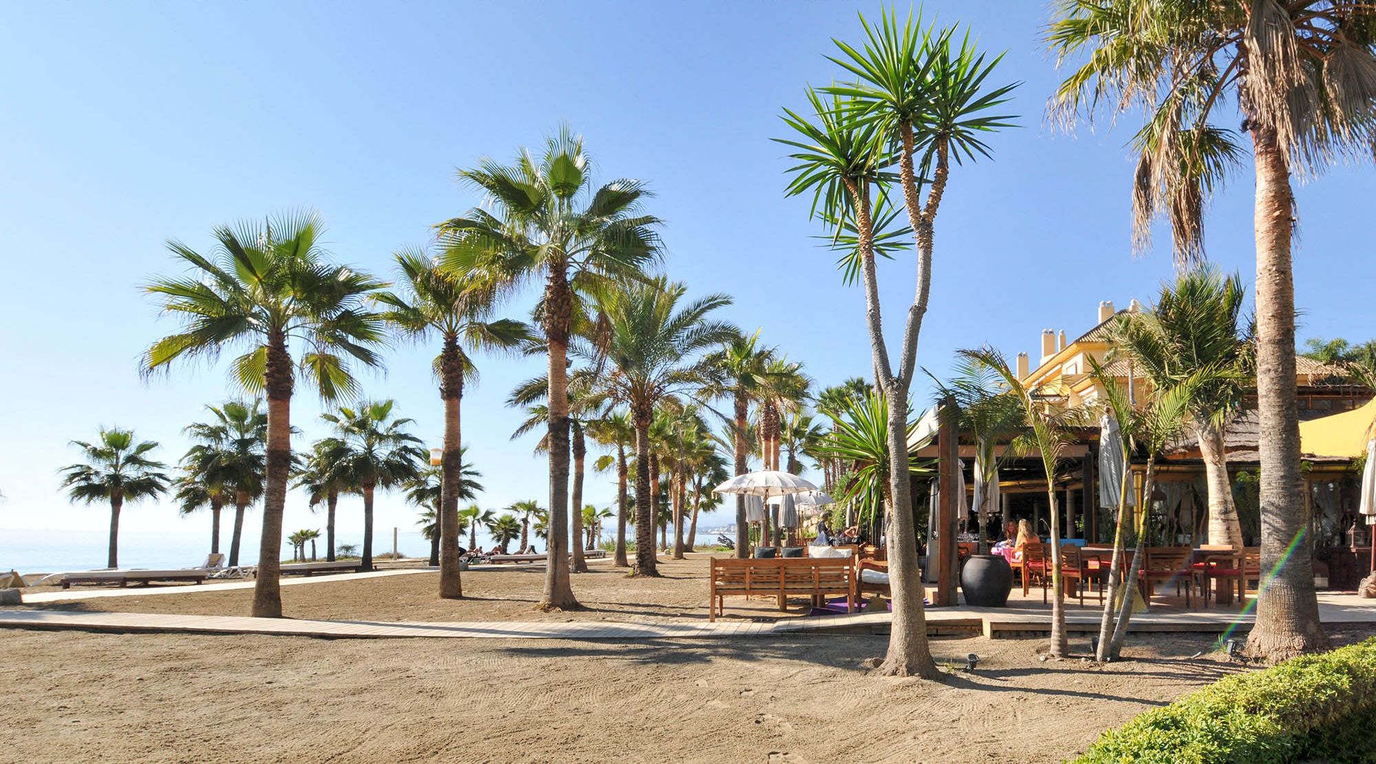 Ein Restaurant direkt am Strand, mit Palmen und einem Sandweg.