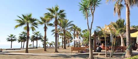 Un restaurante frente a la playa, con palmeras y un sendero de arena.