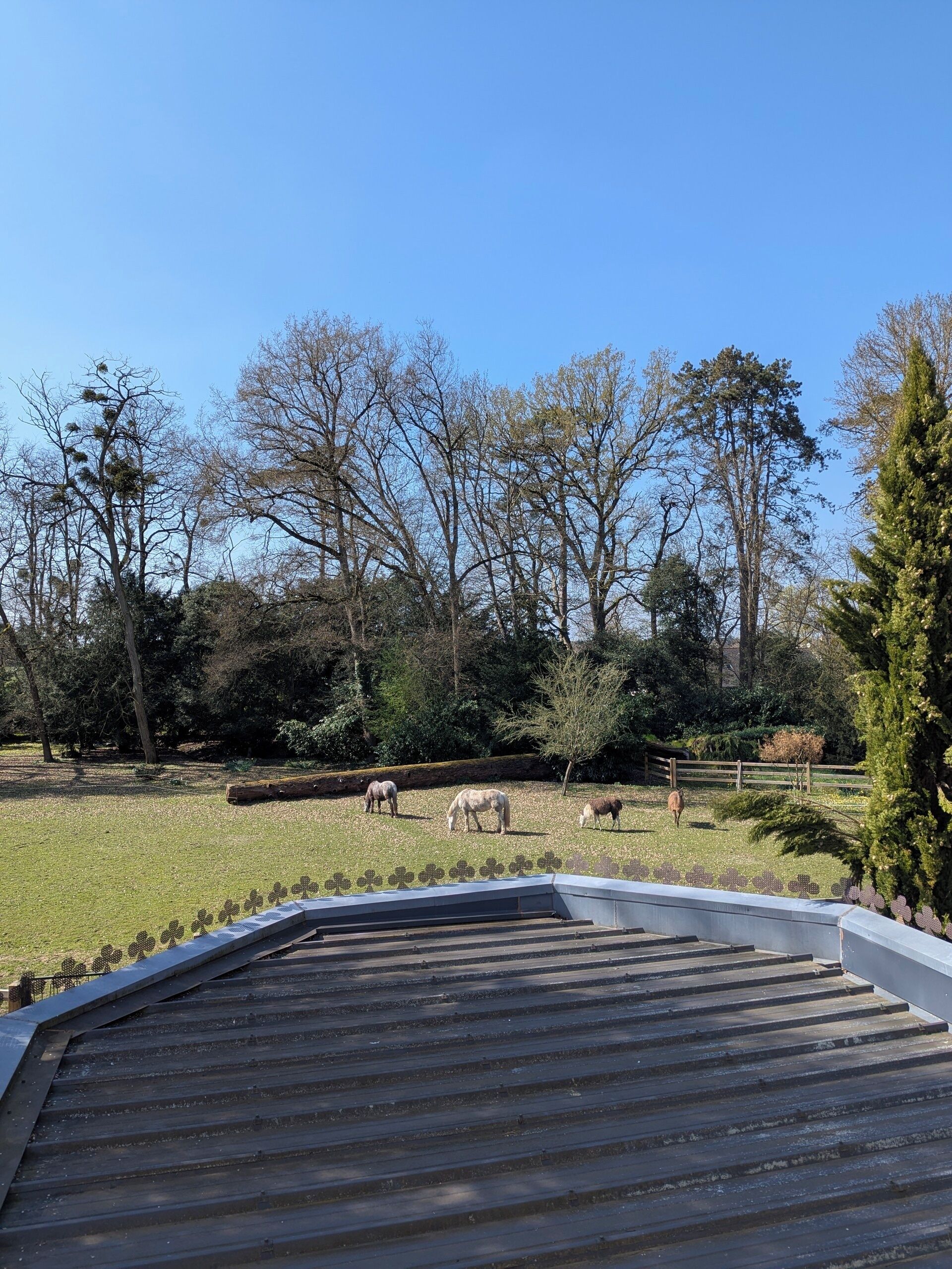Foto - Manoir de la Maison Blanche