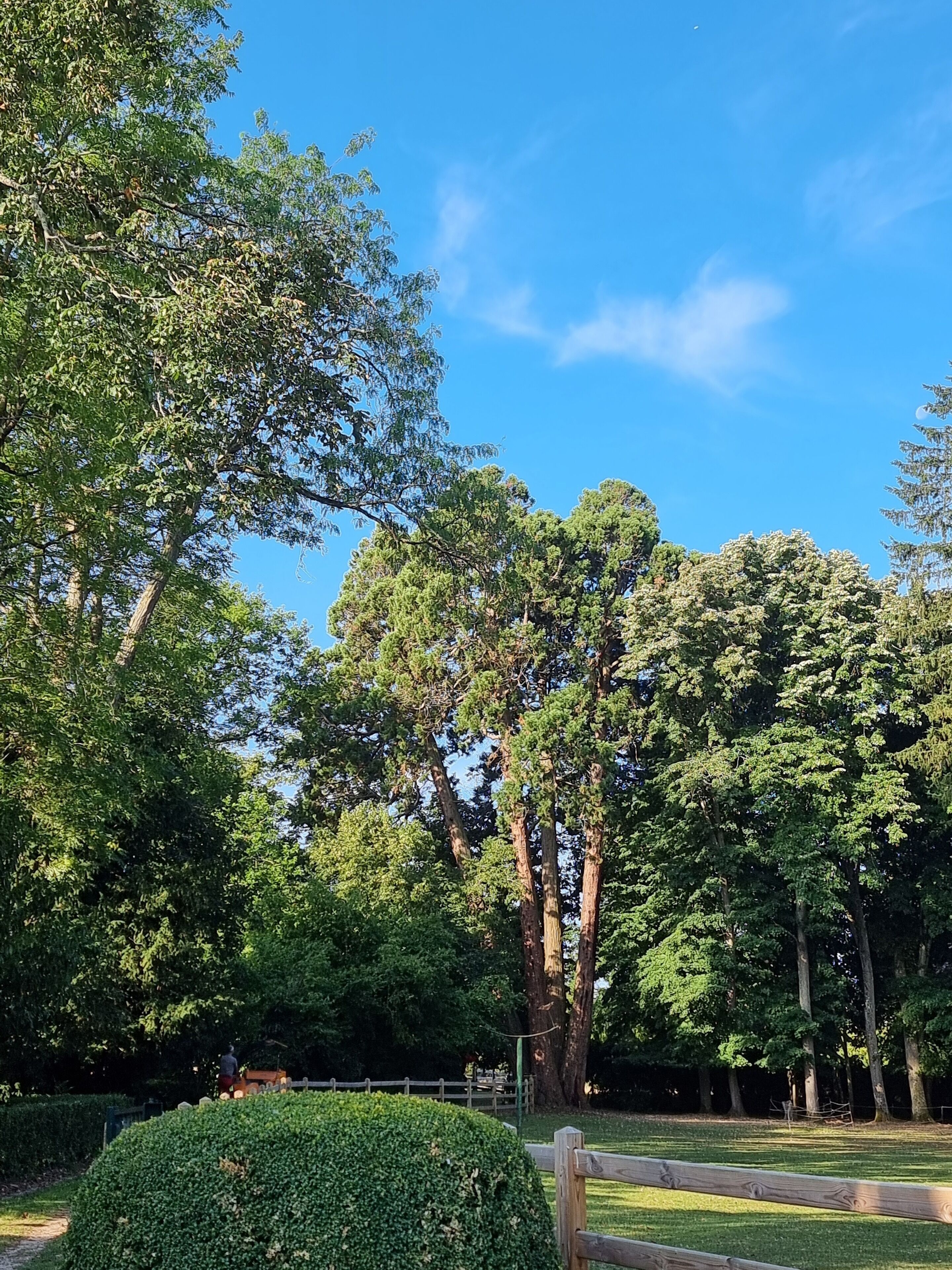 Foto - Manoir de la Maison Blanche