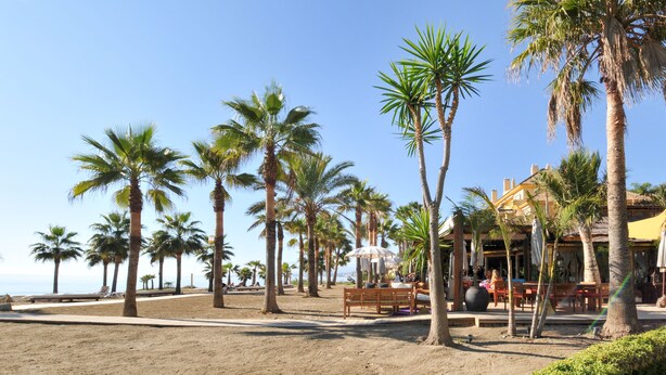 A beachside area with palm trees, a wooden bench, and a building with outdoor seating. - Apartment at 200 meters from the beach! Sea view. And communal pool. (Benalmádena)