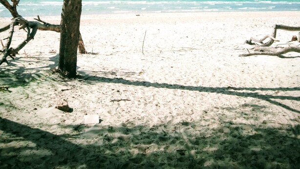 A beach with clear blue water, sandy shore, and a tree in the foreground. - Campanedda (SS): Villa 10 'from the sea: app. 1 (Sassari)