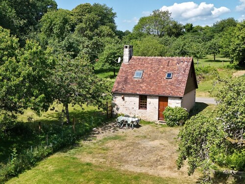 Maison ancienne restaurée avec poêle à bois et animaux admis