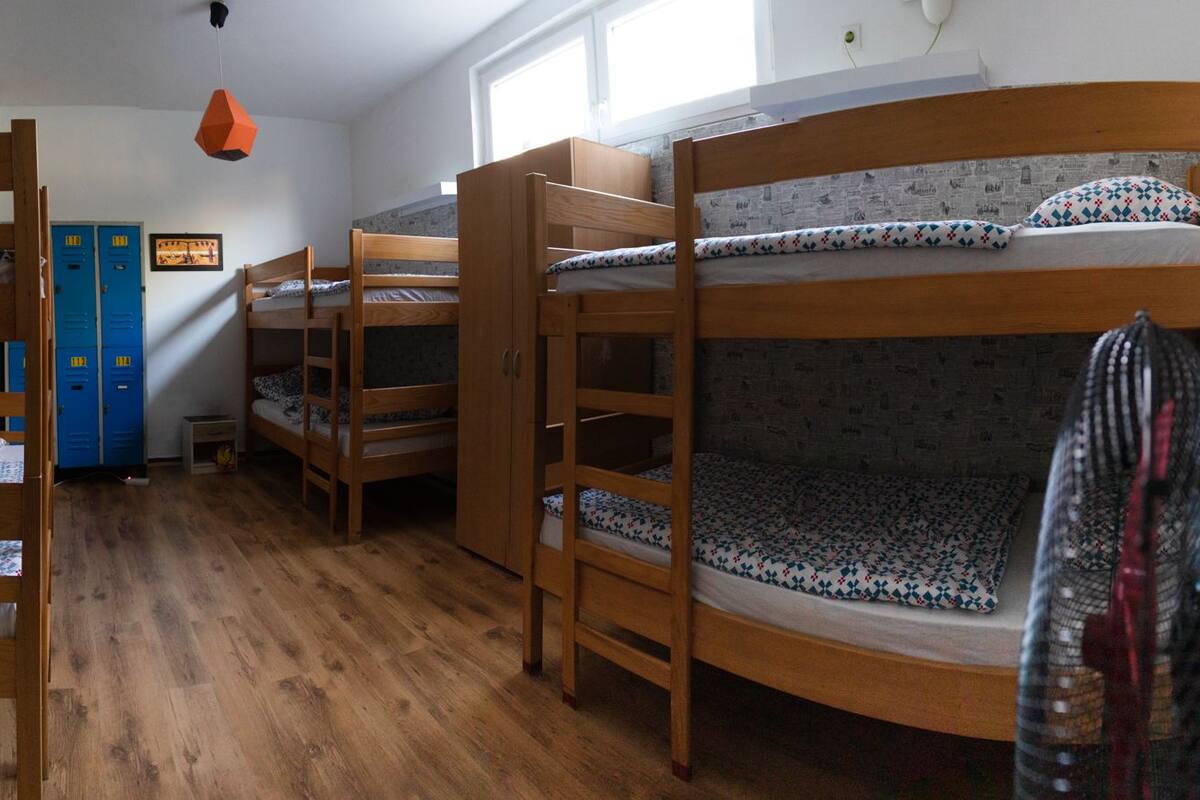 Single Bed in 6-Bed Dormitory Room