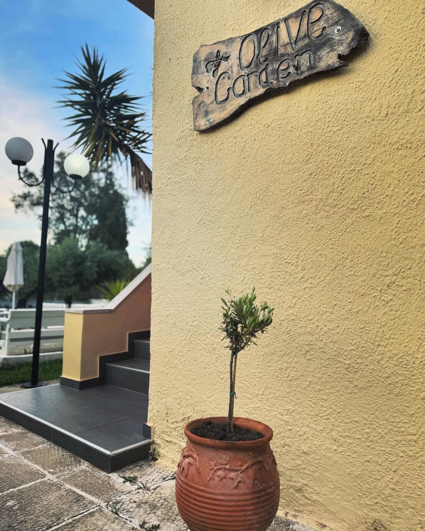 Un letrero de madera con la inscripción "Olive Garden" sujeto a una pared con textura, una planta en maceta y una escalera con una palmera al fondo.