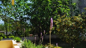 Familieleilighet | Terrasse/patio