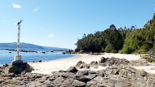 A rocky beach with a bird statue, clear blue water, and a forested area in the background. - Beautiful house with porch and garden 5' drive from the beach and the mountains. (Moaña)