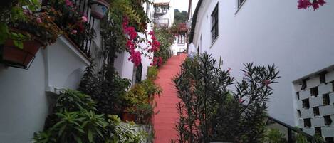 Áreas de la propiedad