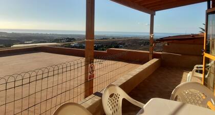 The Black Horse Canarias - Adults Only