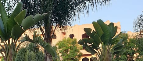 المنطقة المحيطة بالمنشأة