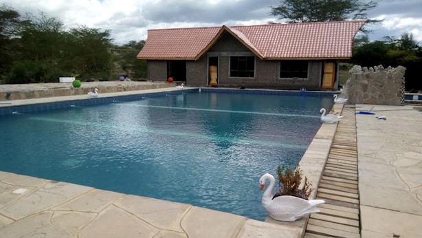 A swimming pool with swans, a brick building with a red roof, and a stone wall.
