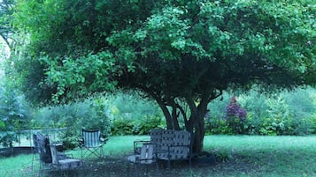 Terrasse/gårdhave