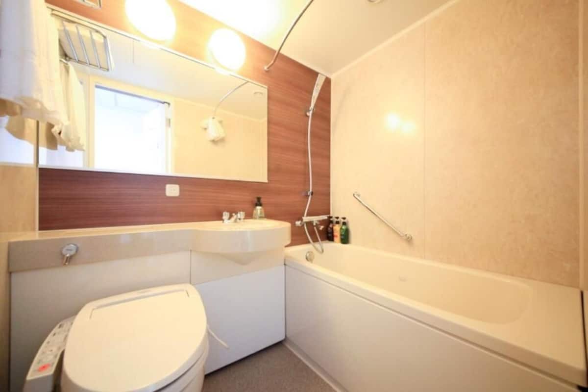 combined shower/bathtub, hair dryer, towels, soap