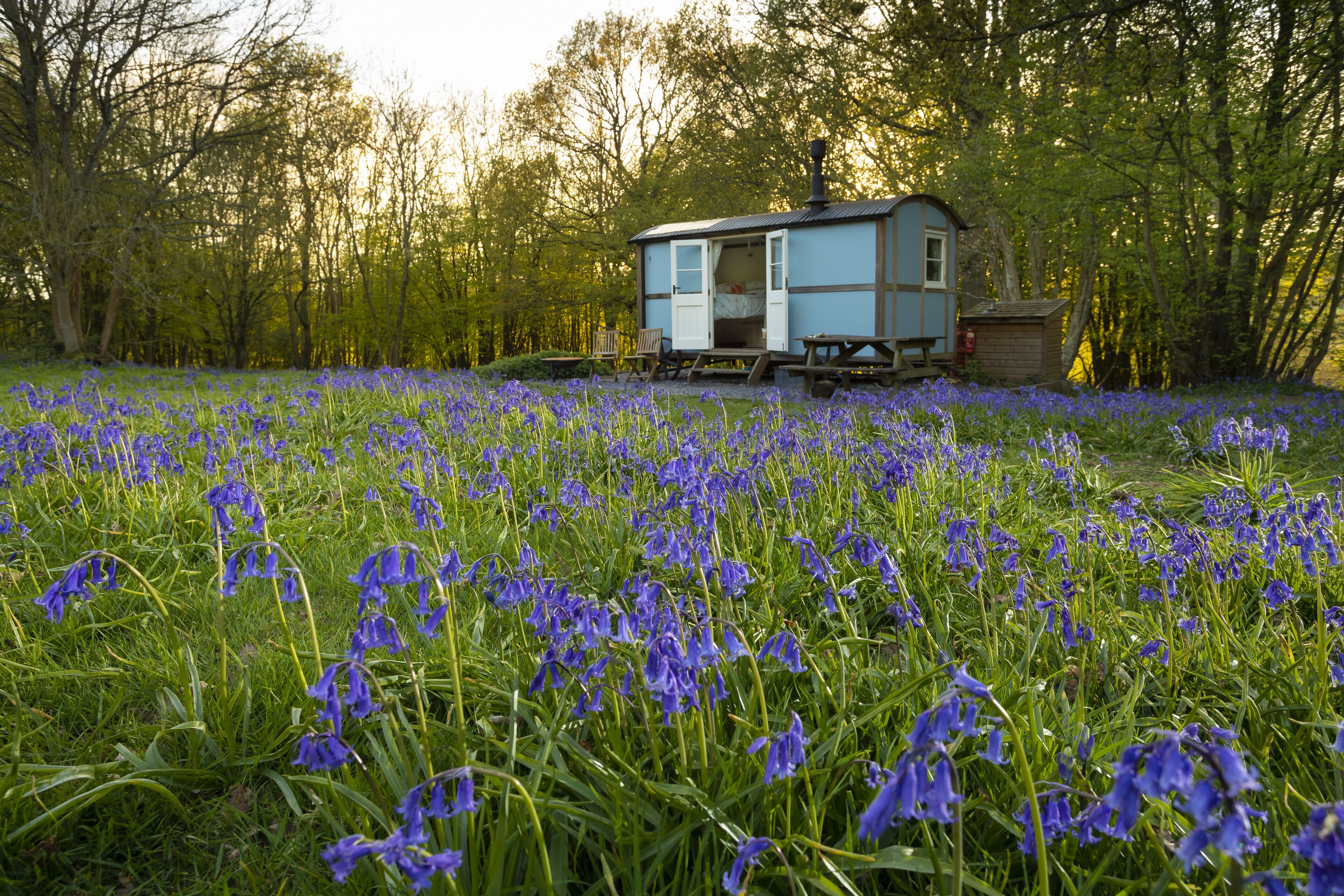 10 acres of woodland