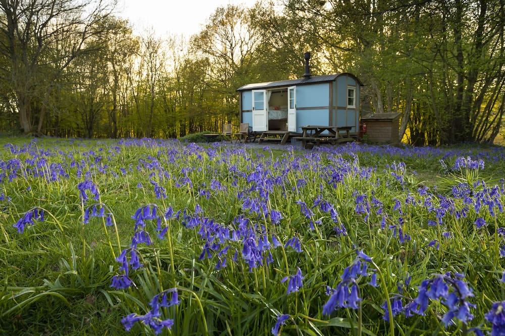 10 acres of woodland