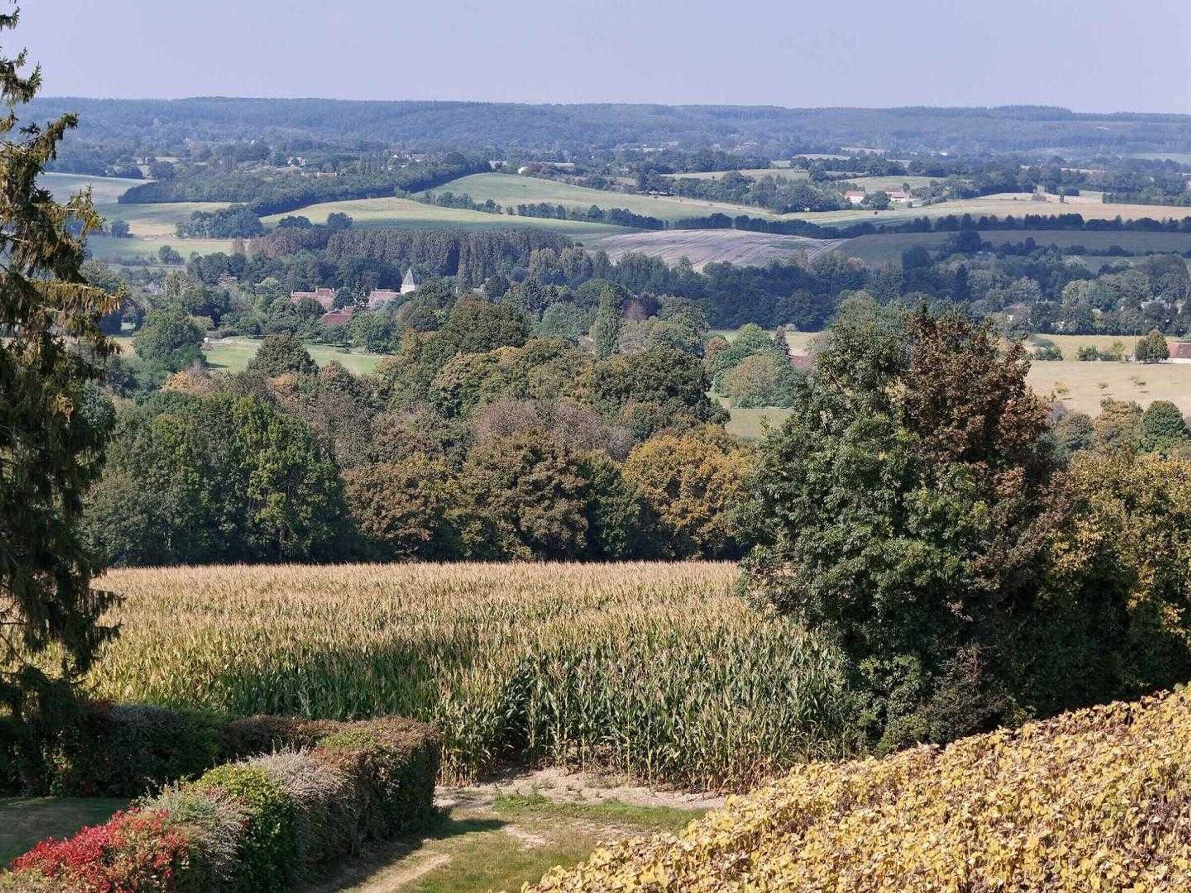 Een landelijk landschap met velden, bomen en een verafgelegen uitzicht op glooiende heuvels.