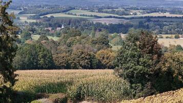 Een landelijk landschap met velden, bomen en een verafgelegen uitzicht op glooiende heuvels.