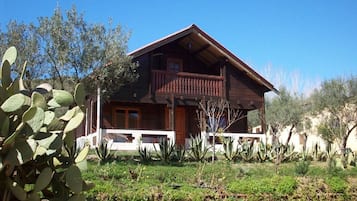 Economy Bungalow, Garden View | Desk, cots/infant beds, free WiFi, bed sheets