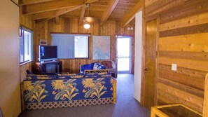 Älytelevisio, takka, stereot, työhuone