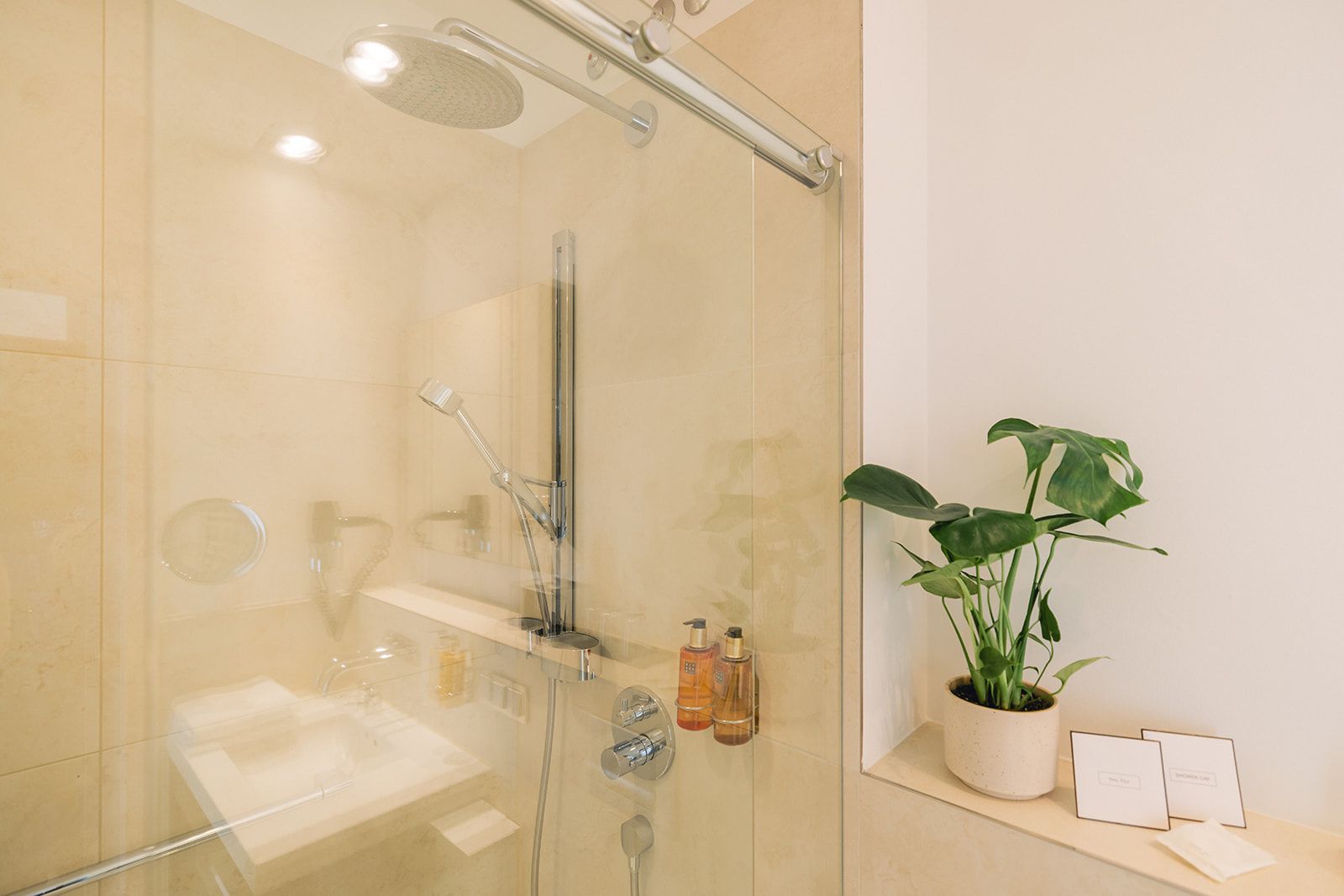 A modern bathroom with a glass-enclosed shower, a handheld showerhead, a wall-mounted faucet, and a potted plant on a shelf.