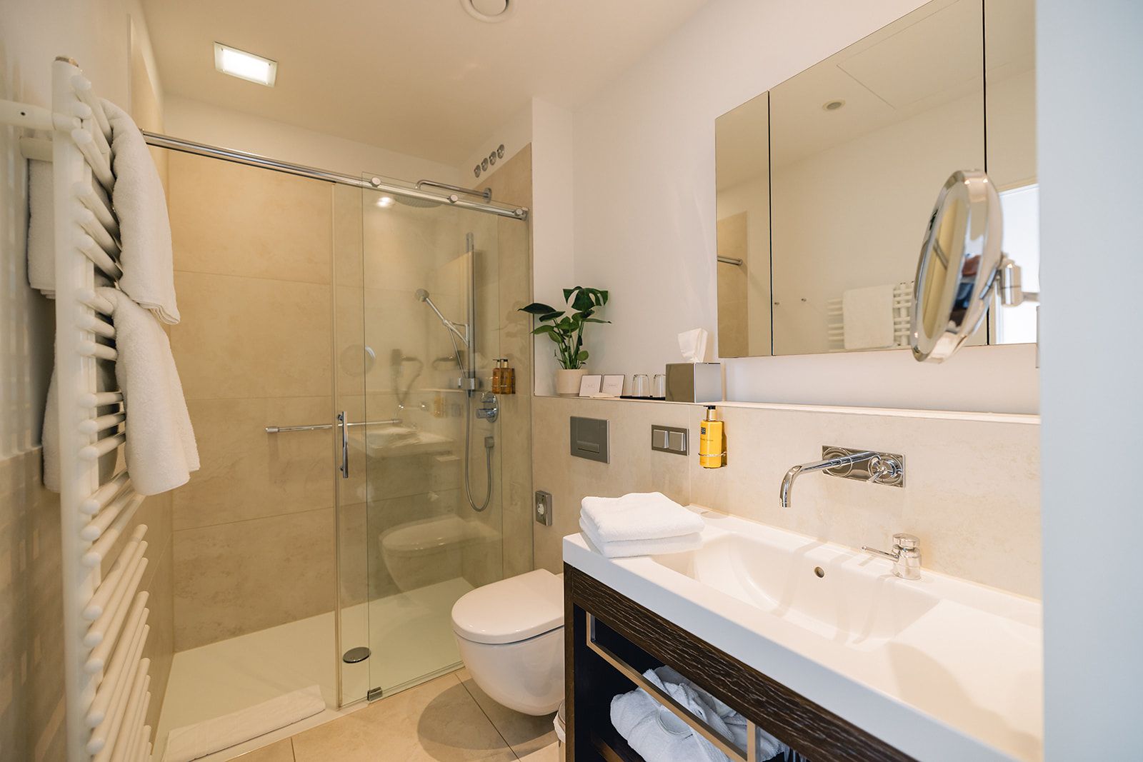 A modern bathroom with a glass-enclosed shower, a white toilet, and a vanity with a mirror.