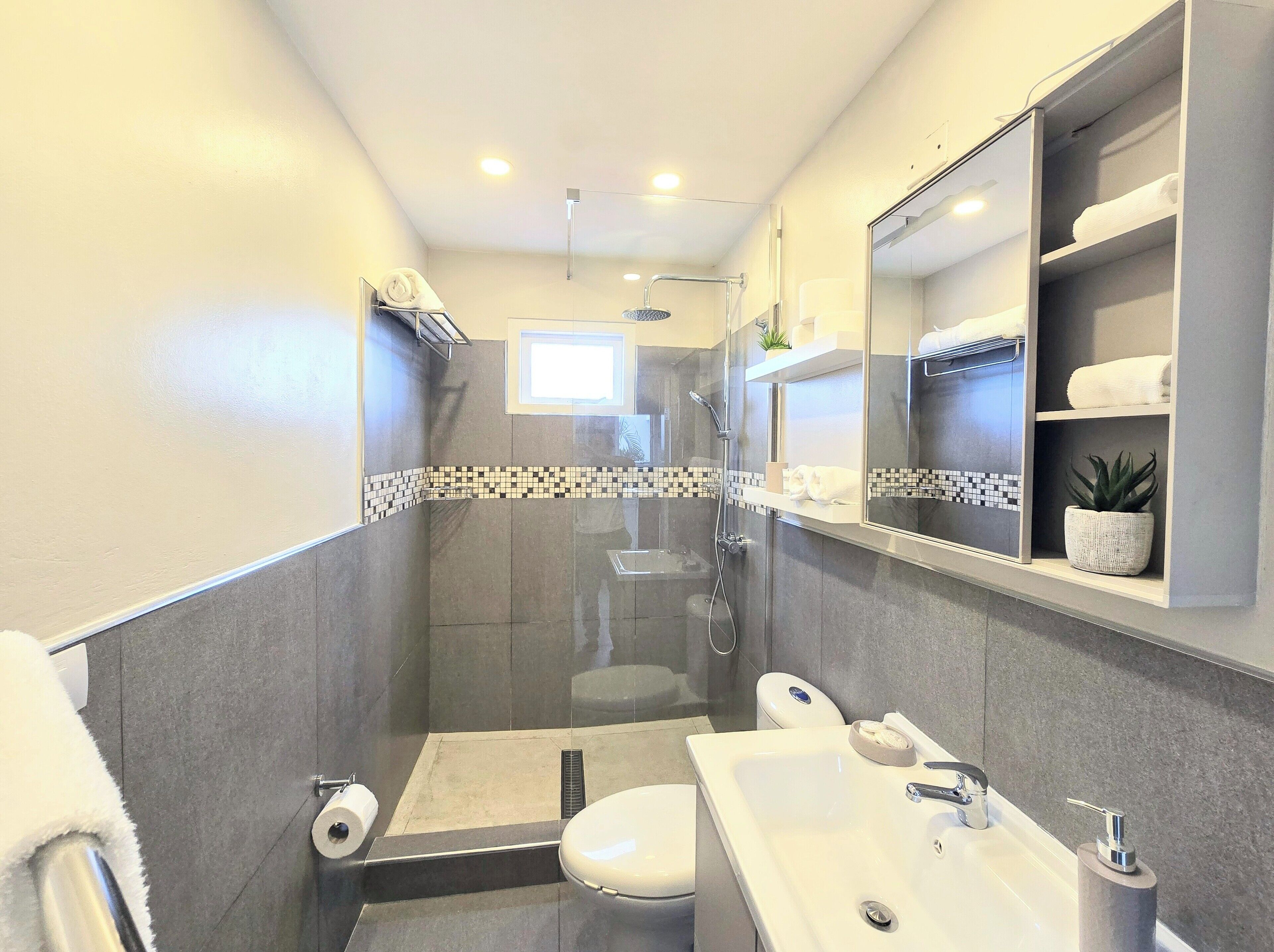 A modern bathroom with a glass-enclosed shower, a toilet, a sink, and a mirror.