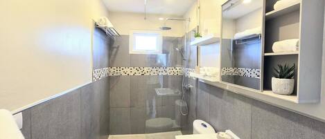 A modern bathroom with a glass-enclosed shower, a toilet, a sink, and a mirror.