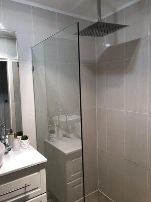 Hair dryer, soap, shampoo, toilet paper