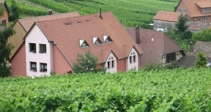 Gîte Chez Le Vigneron pour 4 personnes