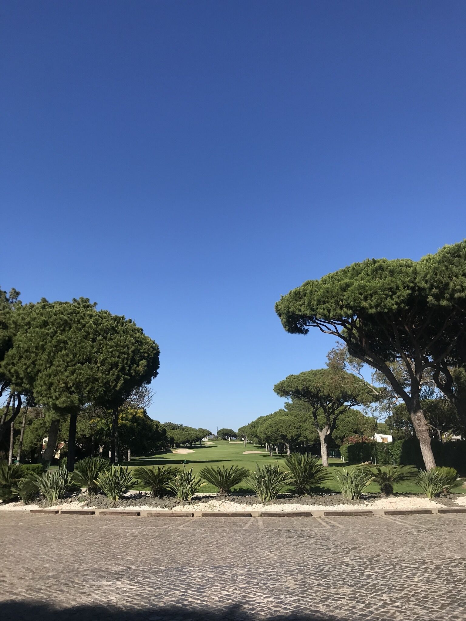 Ein Pflasterweg führt durch einen Park mit großen Bäumen und gepflegten Rasenflächen.