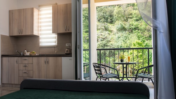 Comfort Studio, Garden View | Desk, laptop workspace, soundproofing, iron/ironing board - Apartmans Sunrise (Igalo)