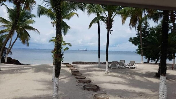 Une plage bordée de palmiers, un sentier sablonneux et des chaises longues.