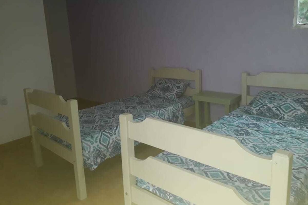 A room with two single beds with patterned bedding, a small bedside table, and a window with a view of greenery.