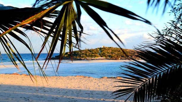Beach - Ocean Dreams Suites (Ayia Napa)