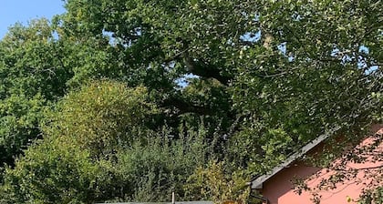 The Hideaway Shepherd Hut, Duffryn Mawr self catering cottages Vale of Glamorgan