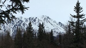 A mountainous landscape with snow-covered peaks and dense forest in the foreground. - Byers Creek Lodge Eagle Cabin in Denali State Park Trapper Creek Alaska (Trapper Creek)