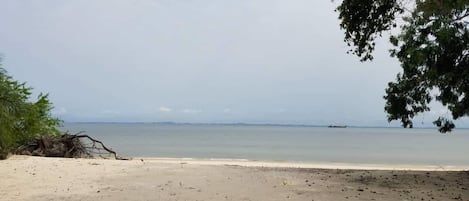 ชายหาด