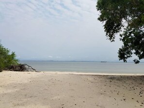 海灘