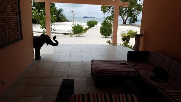 Vue sur la plage/l’océan