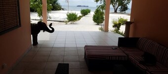 Nautica Service Maison Rose