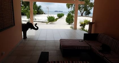 Nautica Service Maison Rose