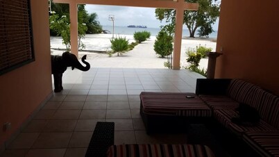 Nautica Service Maison Rose