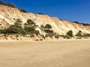 Chaises longues, serviettes de plage