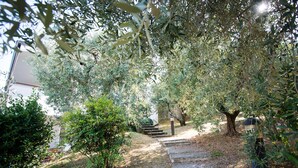 A stone staircase leading up a hill, surrounded by dense foliage and trees. - Villa Solelago Exclusive (Lonato del Garda)