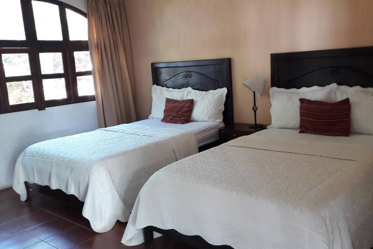 Two single beds with white linens and dark wooden headboards, a window with a view, and a lamp on the nightstand.