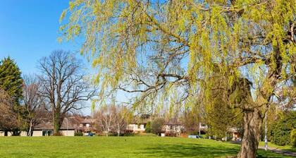 Nice House in St. Augustine's Park, Blackrock